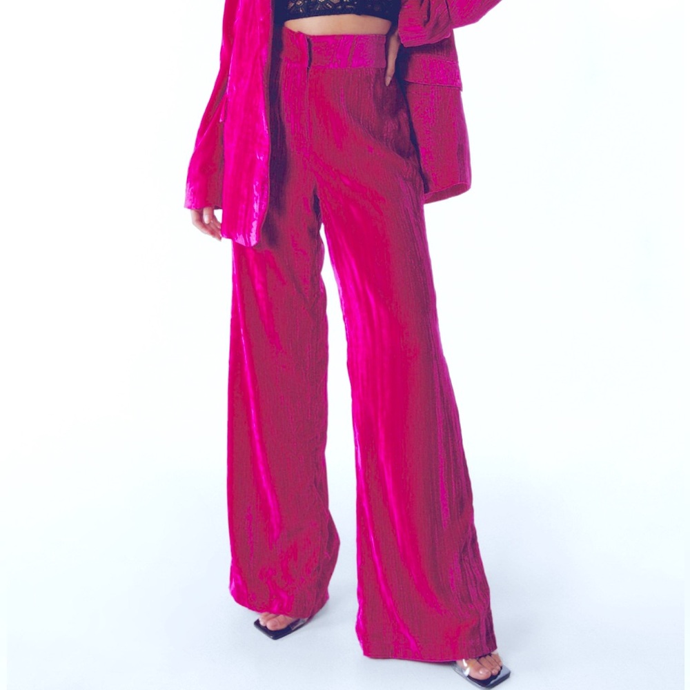 Nasty Gal Velvet Wide Leg Pants Sz 4